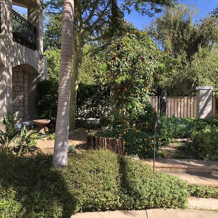 African Palm Cottage And Guesthouse Durbanville Eksteriør billede