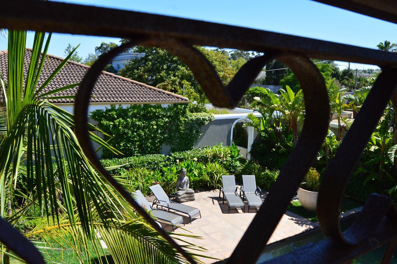 African Palm Cottage And Guesthouse Durbanville Eksteriør billede