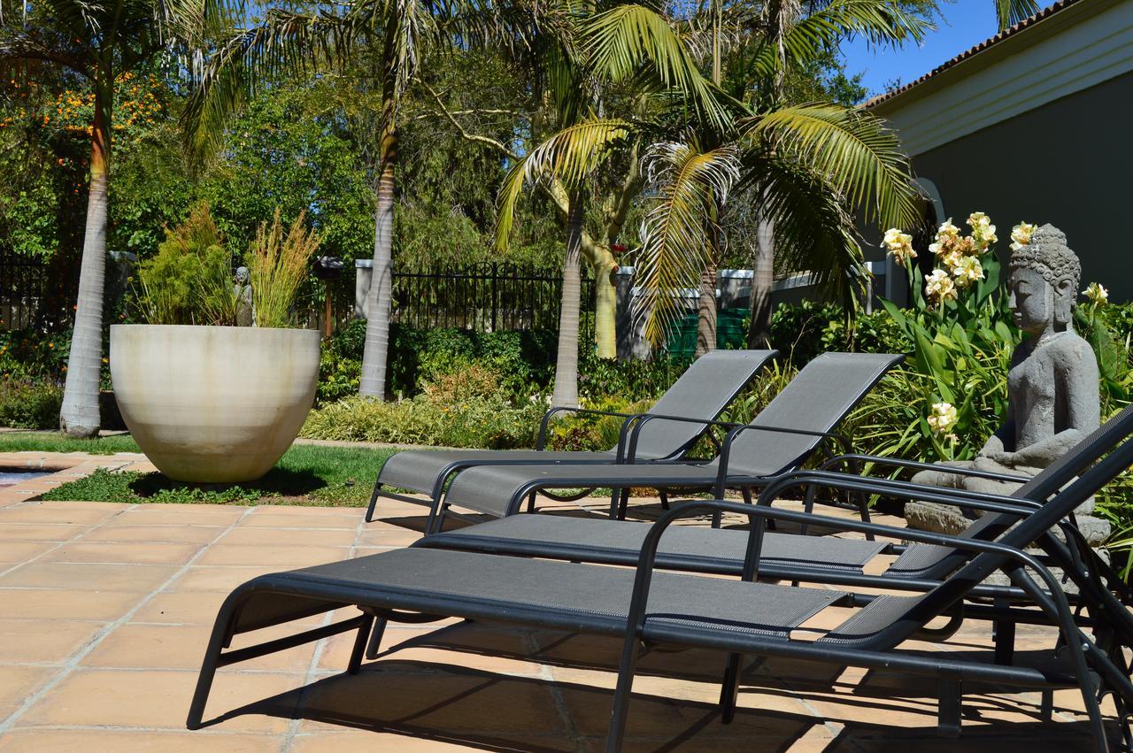 African Palm Cottage And Guesthouse Durbanville Eksteriør billede