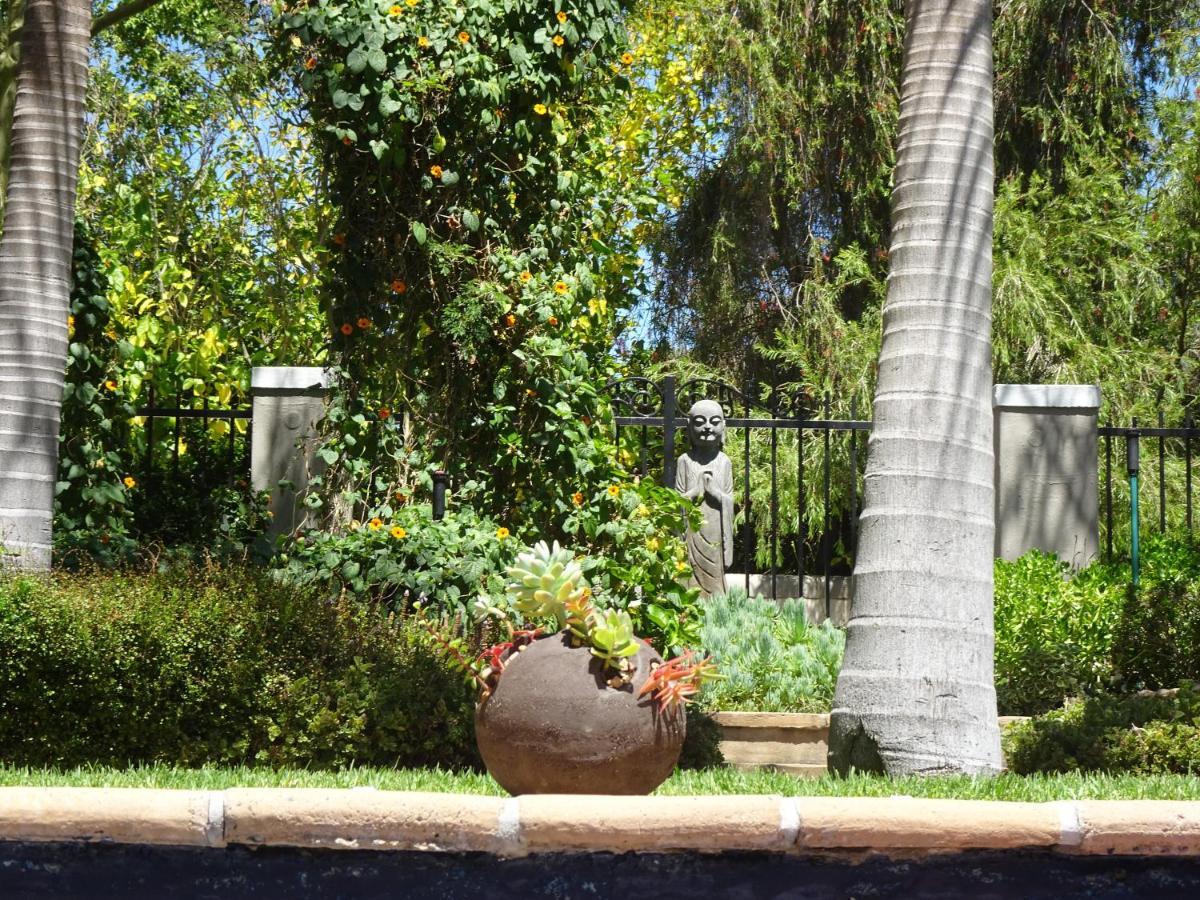 African Palm Cottage And Guesthouse Durbanville Eksteriør billede
